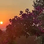 La Bouganvillea *