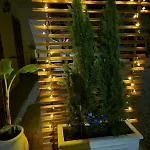 La Bouganvillea Appartement