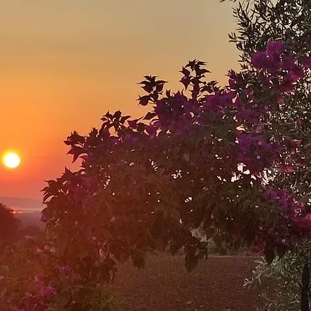 La Bouganvillea *