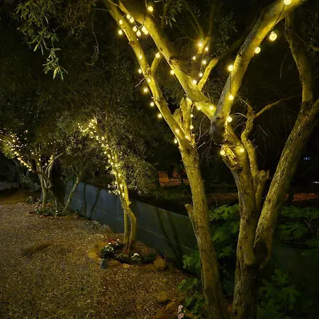 La Bouganvillea Daire *