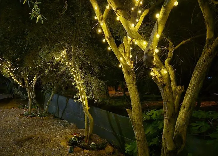 La Bouganvillea 公寓 *